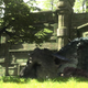 Illustration for article titled Sony is Working Diligently on emThe Last Guardian/em